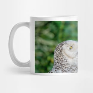 Head of snowy owl Mug